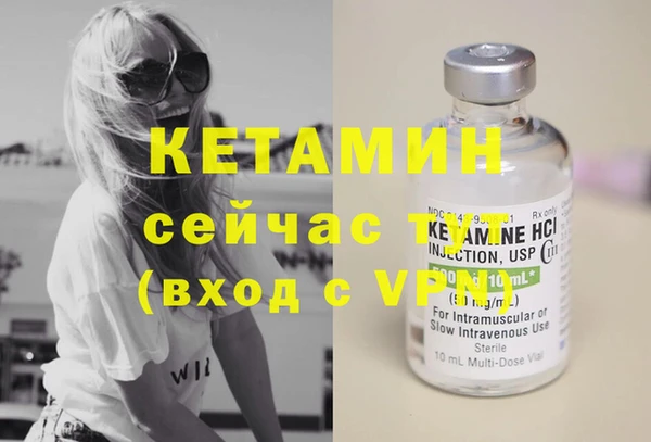 шишки Бородино