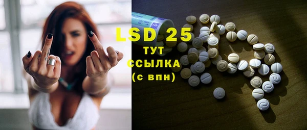 шишки Бородино