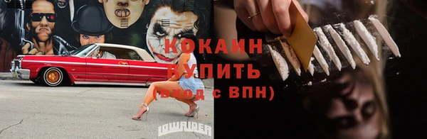 шишки Бородино