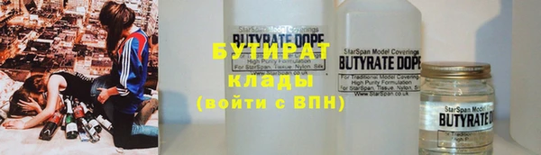 шишки Бородино