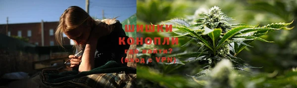 шишки Бородино