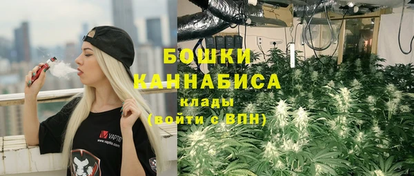 шишки Бородино