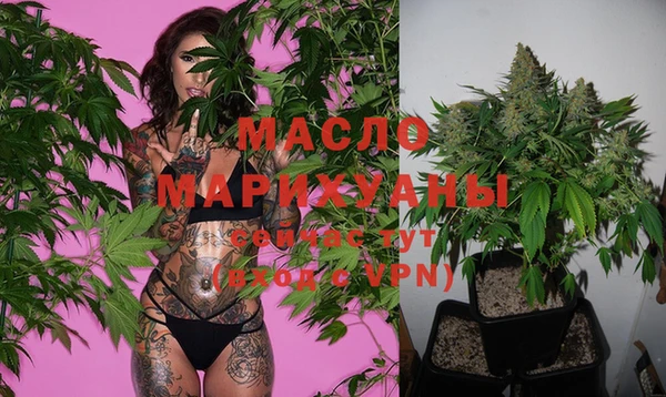 шишки Бородино