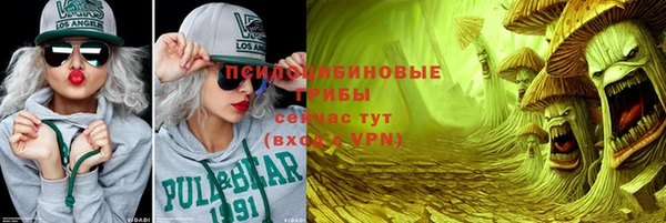 гашик Саяногорск