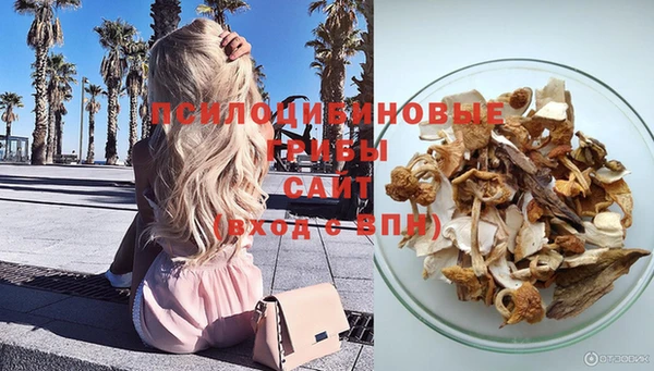 гашик Саяногорск