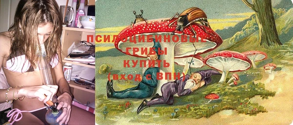 шишки Бородино